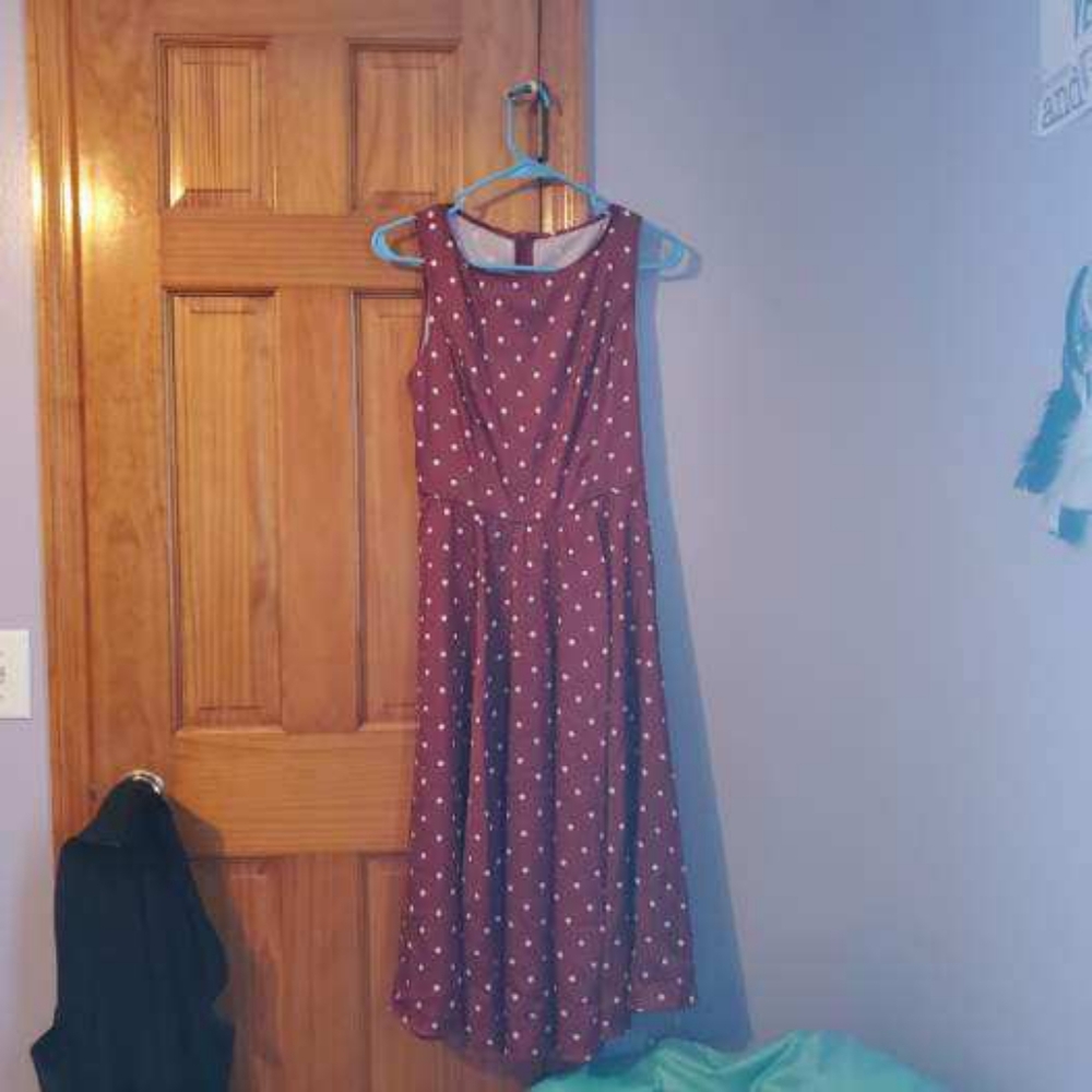 Polka dot dress brand new